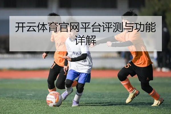 开云体育官网平台评测与功能详解