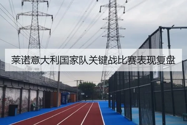 莱诺意大利国家队关键战比赛表现复盘