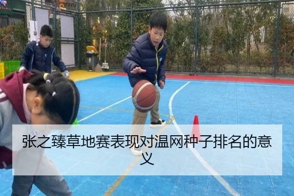 张之臻草地赛表现对温网种子排名的意义